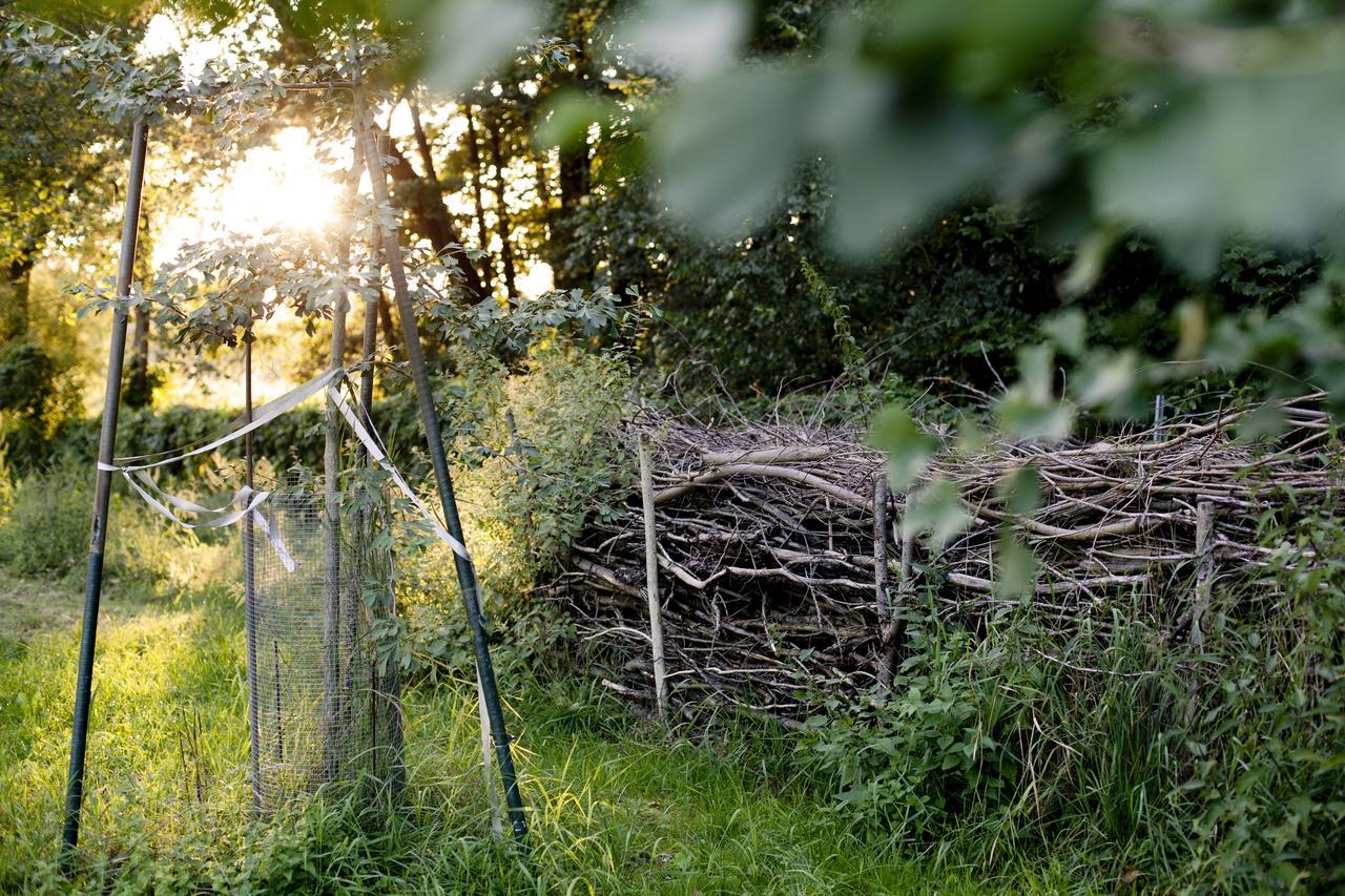 Landgut Nedlitz, Aryurveda & Gesundheit Hotel Potsdam Eksteriør bilde